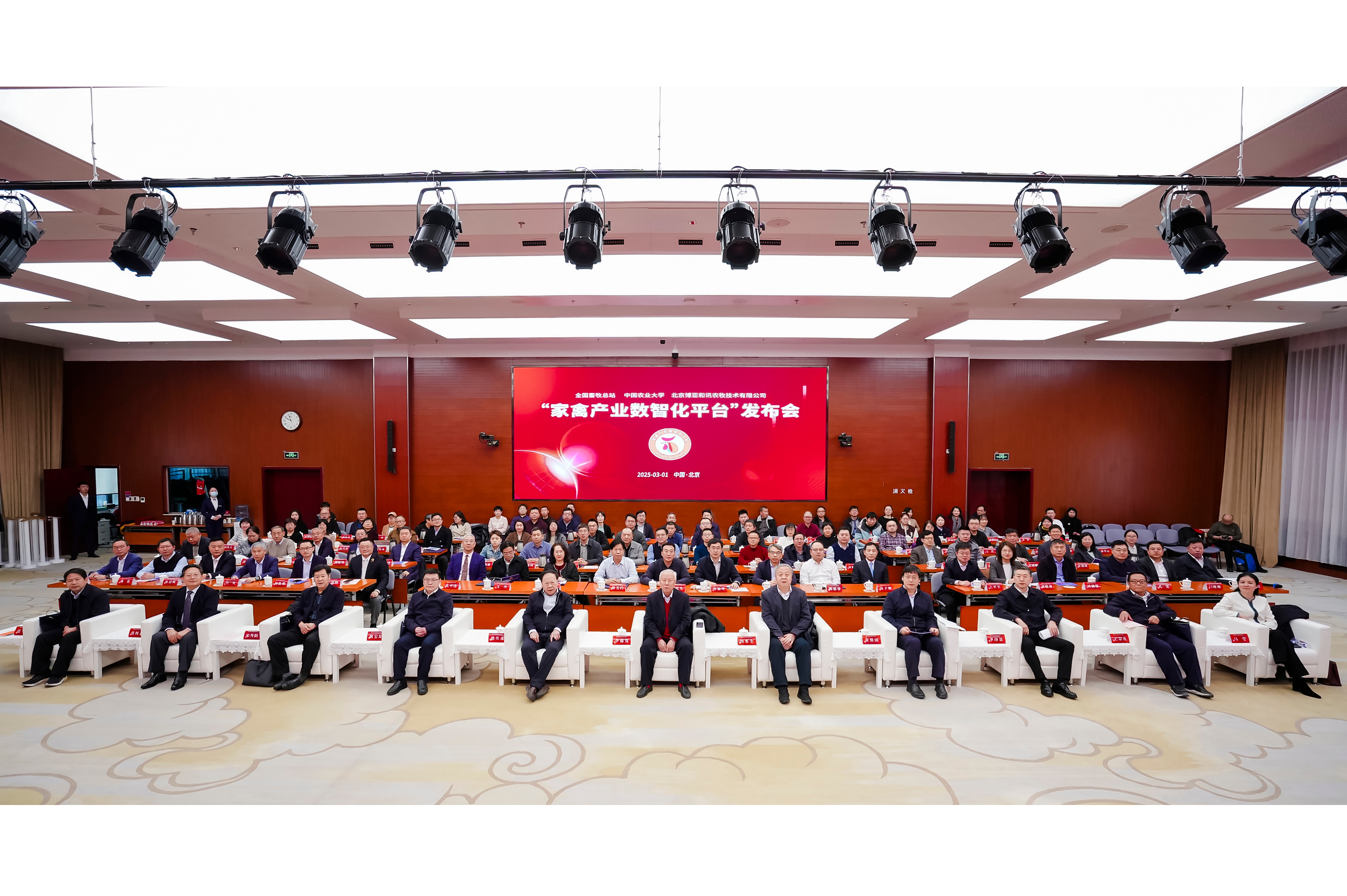 2-发布.jpg