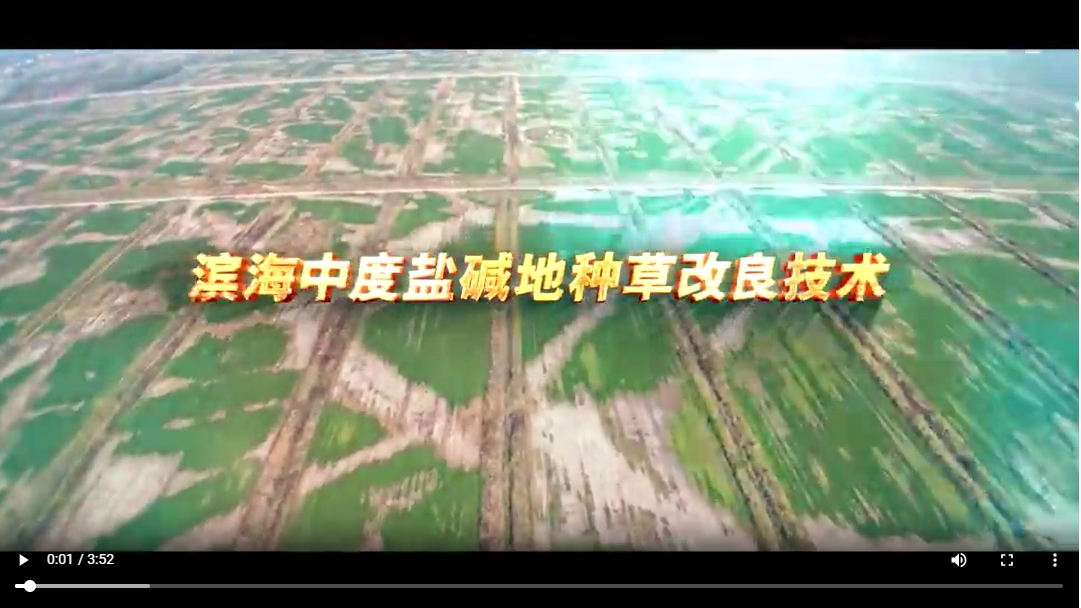 种草改良.png
