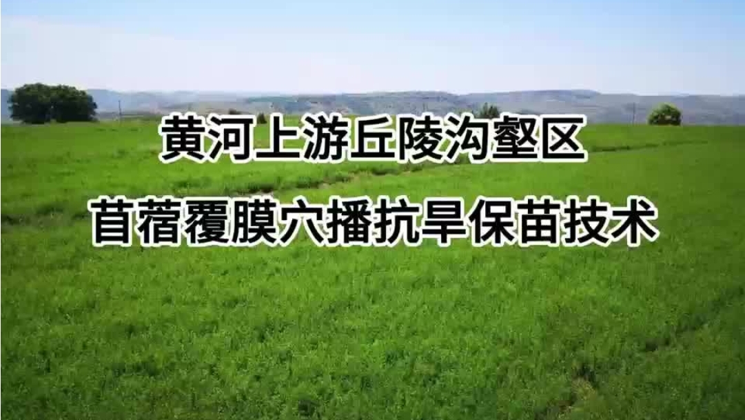 20250415_084615.jpg